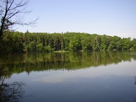 Botič 2-ú.n.Hostivař-pohled od Petrovic-létp (3).jpg